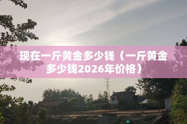 现在一斤黄金多少钱（一斤黄金多少钱2026年价格）
