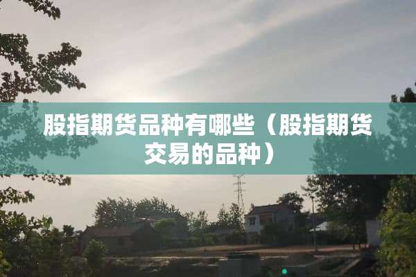 股指期货品种有哪些（股指期货交易的品种）