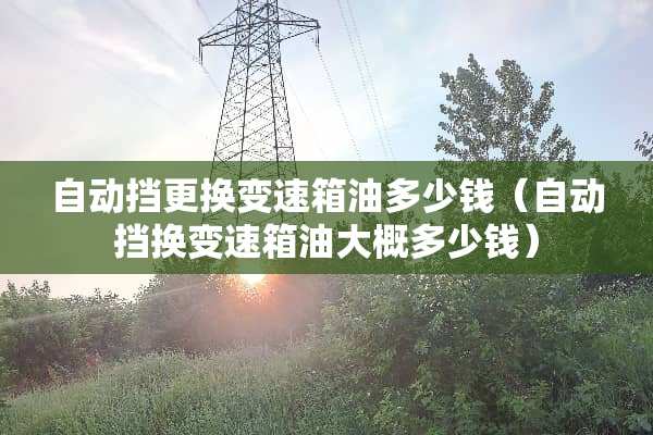 自动挡更换变速箱油多少钱（自动挡换变速箱油大概多少钱）