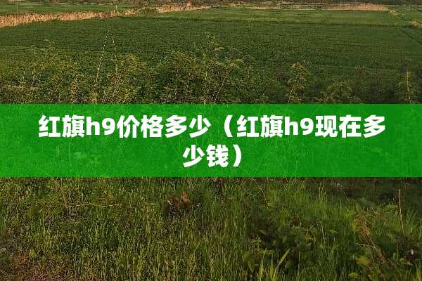 红旗h9价格多少（红旗h9现在多少钱）