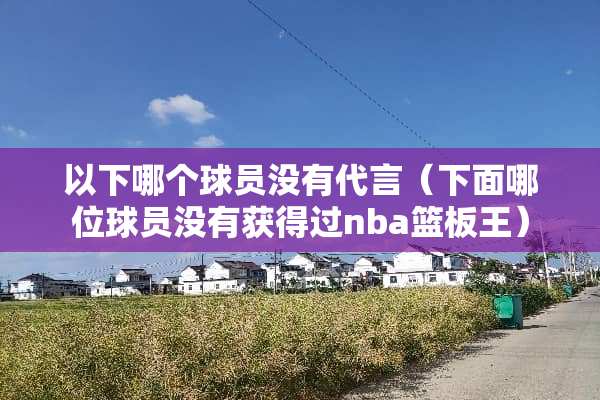 以下哪个球员没有代言（下面哪位球员没有获得过nba篮板王）