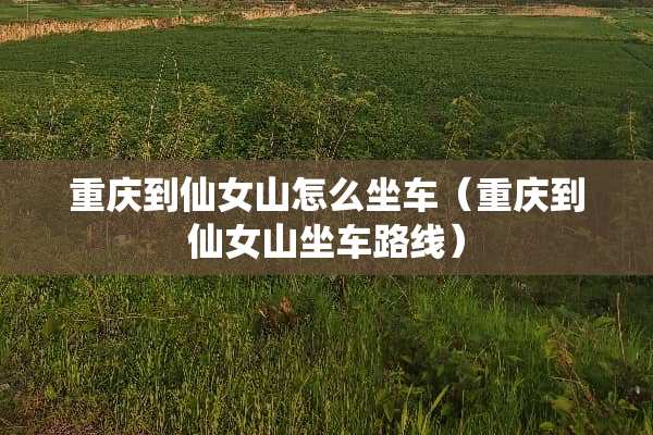 重庆到仙女山怎么坐车（重庆到仙女山坐车路线）