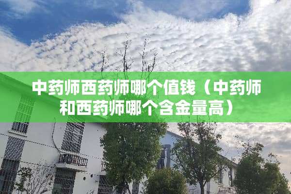 中药师西药师哪个值钱(中药师和西药师哪个含金量高) 中药师西药师哪个值钱(中药师和西药师哪个含金量高)