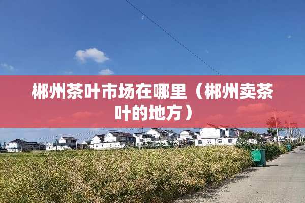郴州茶叶市场在哪里（郴州卖茶叶的地方）