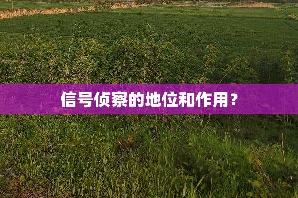 信号侦察的地位和作用？