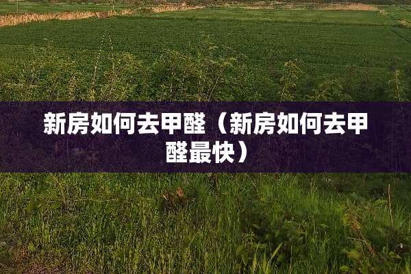 新房如何去甲醛（新房如何去甲醛最快）