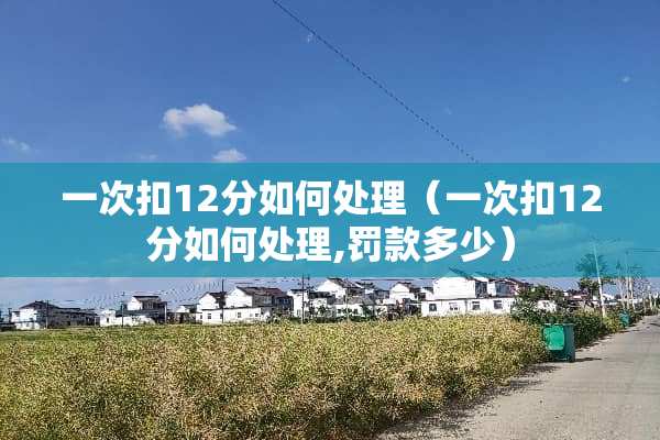 一次扣12分如何处理（一次扣12分如何处理,罚款多少）