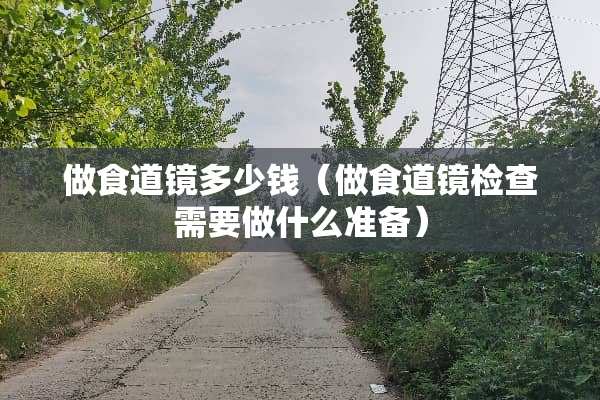 做食道镜多少钱（做食道镜检查需要做什么准备）
