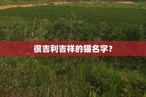 很吉利吉祥的猫名字？