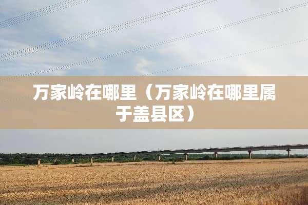 万家岭在哪里（万家岭在哪里属于盖县区）