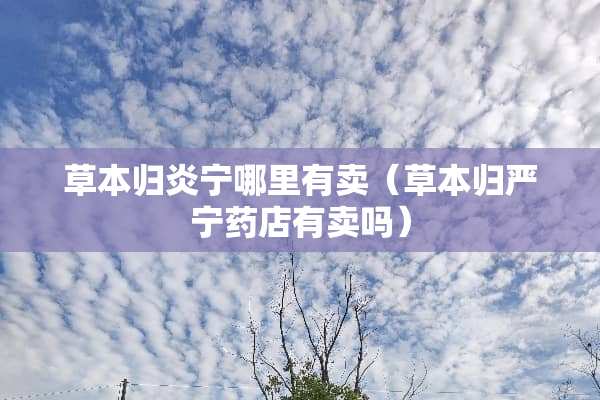 草本归炎宁哪里有卖（草本归严宁药店有卖吗）