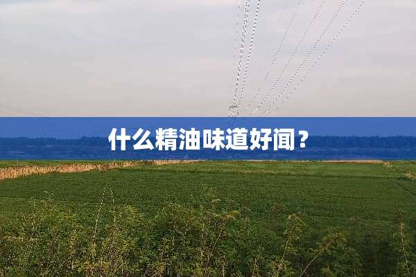 什么精油味道好闻？