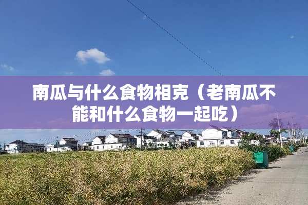 南瓜与什么食物相克（老南瓜不能和什么食物一起吃）