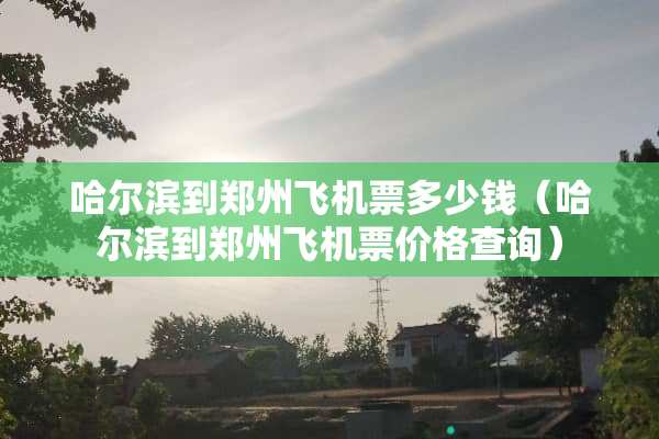 哈尔滨到郑州***多少钱（哈尔滨到郑州***价格查询）