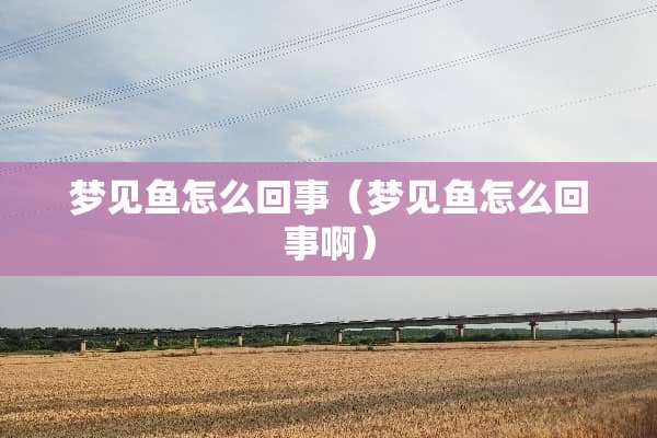 梦见鱼怎么回事（梦见鱼怎么回事啊）