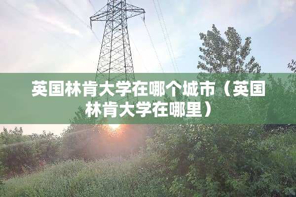 英国林肯大学在哪个城市（英国林肯大学在哪里）