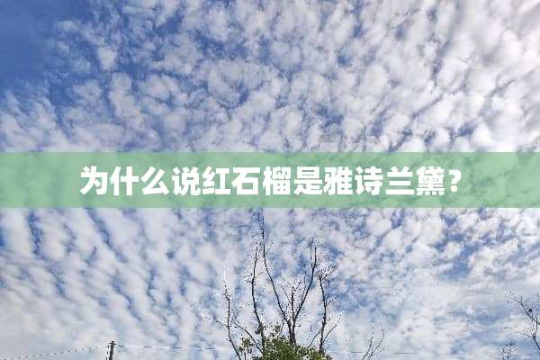 为什么说红石榴是雅诗兰黛？