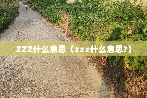 ZZZ什么意思（zzz什么意思?）