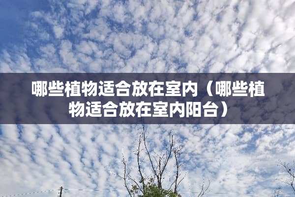 哪些植物适合放在室内（哪些植物适合放在室内阳台）