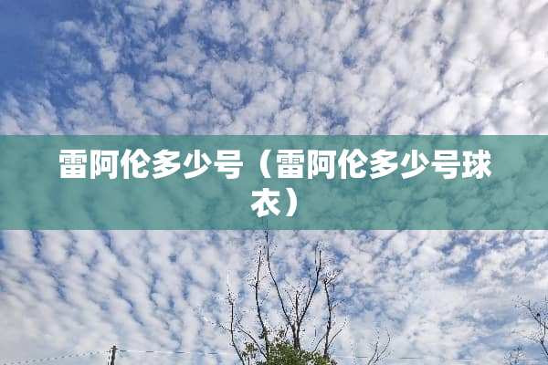 雷阿伦多少号（雷阿伦多少号球衣）