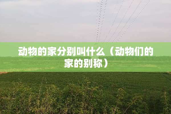 动物的家分别叫什么（动物们的家的别称）