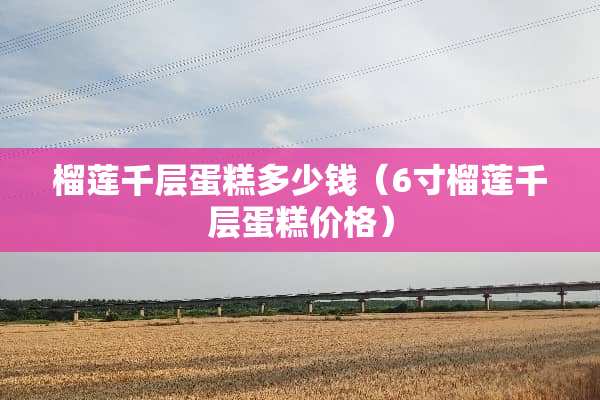 榴莲千层蛋糕多少钱(6寸榴莲千层蛋糕价格) 榴莲千层蛋糕多少钱(6寸榴莲千层蛋糕价格)