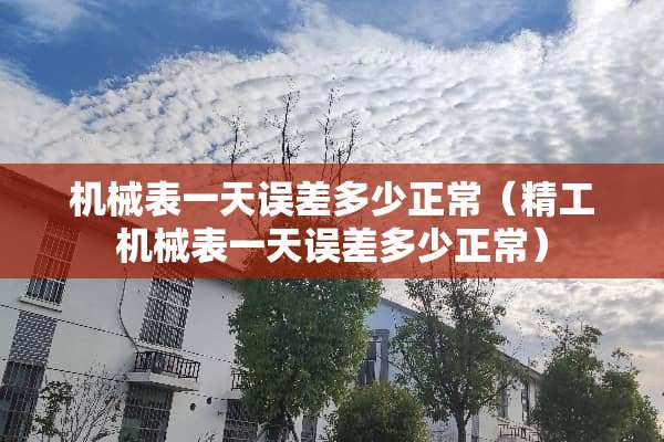 机械表一天误差多少正常（精工机械表一天误差多少正常）