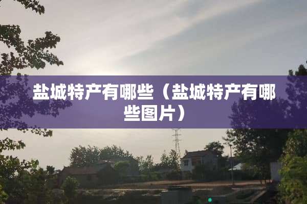 盐城特产有哪些（盐城特产有哪些图片）
