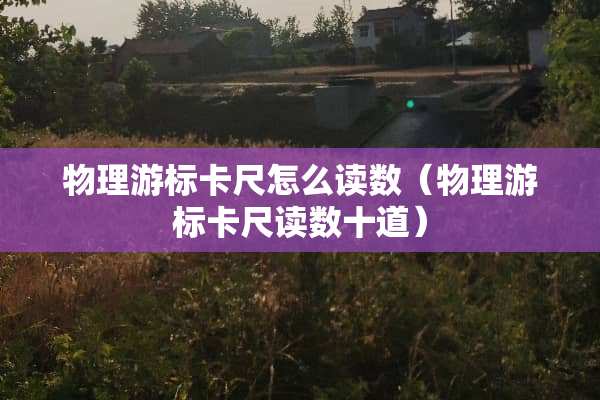 物理游标卡尺怎么读数（物理游标卡尺读数十道）