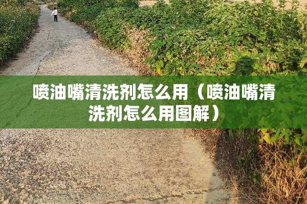 喷油嘴清洗剂怎么用（喷油嘴清洗剂怎么用图解）
