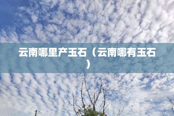 云南哪里产玉石(云南哪有玉石) 云南哪里产玉石(云南哪有玉石)