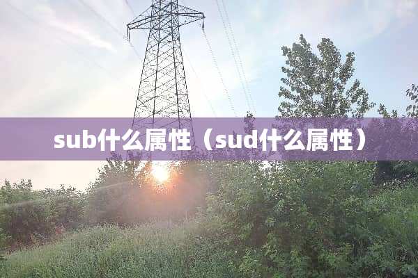 sub什么属性（sud什么属性）