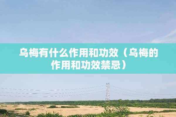乌梅有什么作用和功效（乌梅的作用和功效禁忌）
