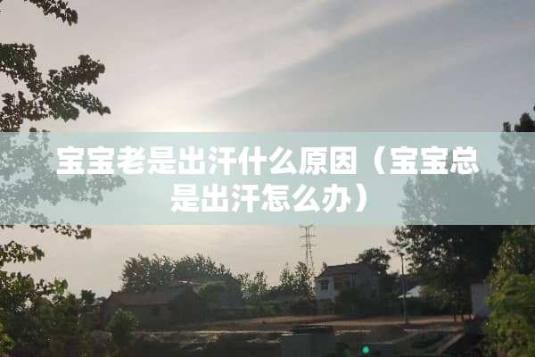 宝宝老是出汗什么原因（宝宝总是出汗怎么办）