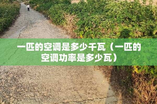 一匹的空调是多少千瓦（一匹的空调功率是多少瓦）