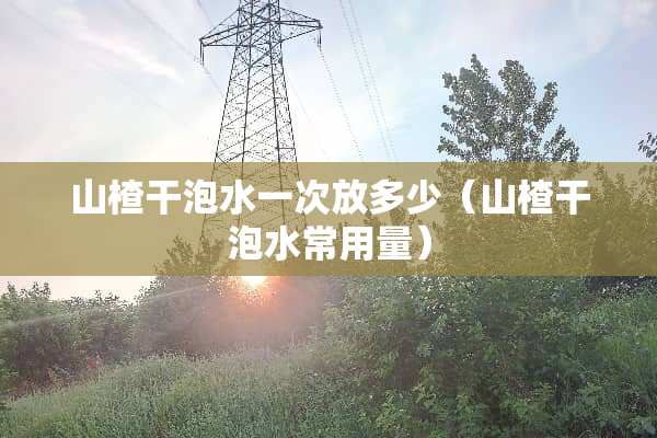 山楂干泡水一次放多少（山楂干泡水常用量）