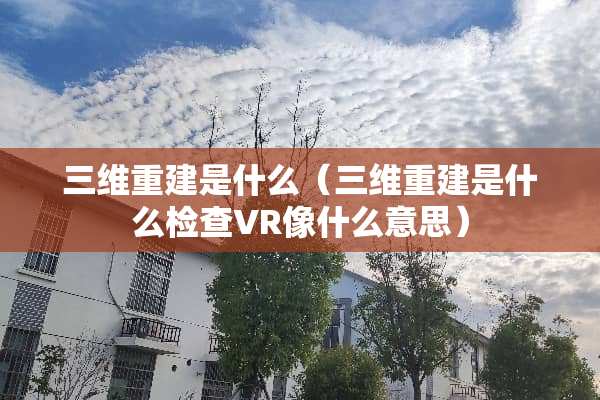 三维重建是什么（三维重建是什么检查VR像什么意思）