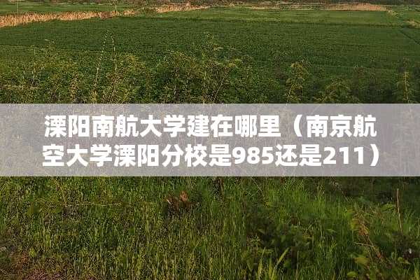 溧阳南航大学建在哪里（南京航空大学溧阳分校是985还是211）