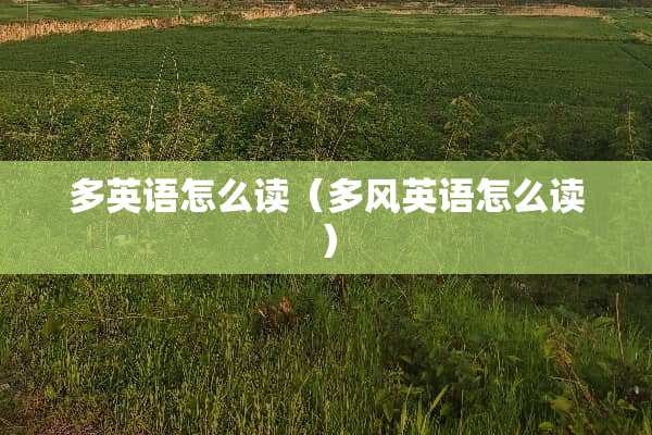 多英语怎么读（多风英语怎么读）