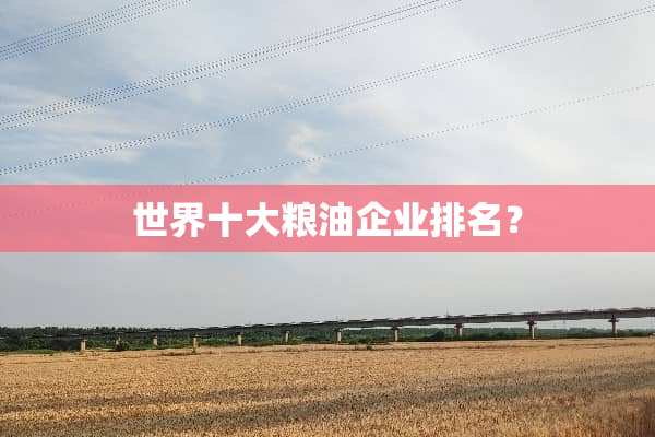 世界十大粮油企业排名？