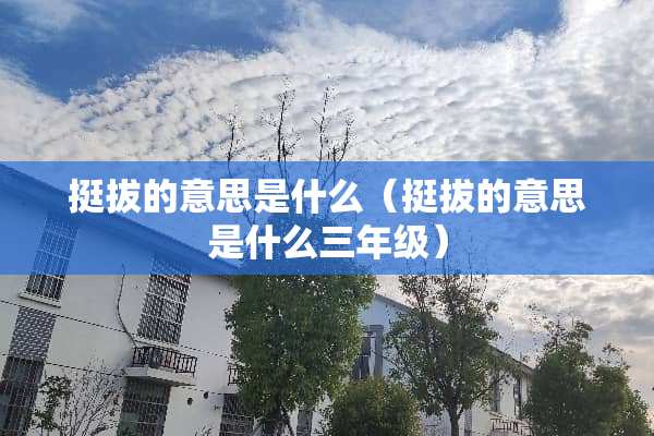 挺拔的意思是什么（挺拔的意思是什么三年级）