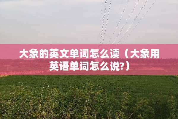 大象的英文单词怎么读（大象用英语单词怎么说?）
