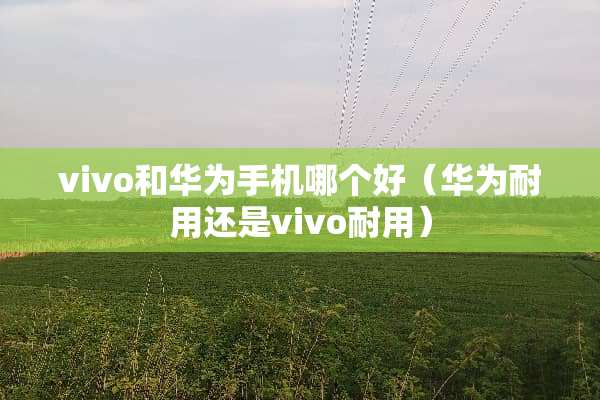 vivo和华为手机哪个好（华为耐用还是vivo耐用）