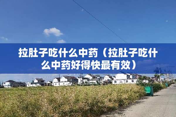 拉肚子吃什么中药（拉肚子吃什么中药好得快最有效）