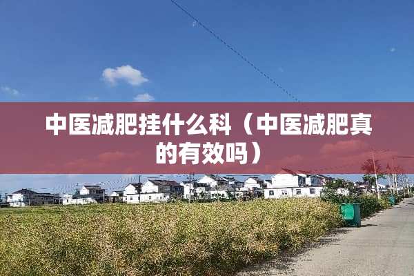 中医减肥挂什么科（中医减肥真的有效吗）