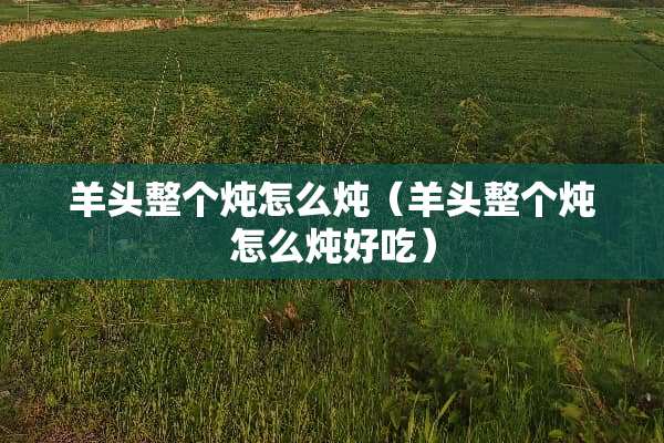 羊头整个炖怎么炖（羊头整个炖怎么炖好吃）