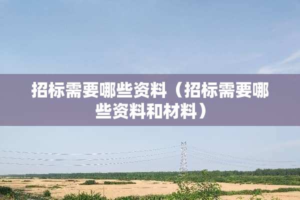 招标需要哪些资料（招标需要哪些资料和材料）
