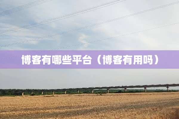 博客有哪些平台（博客有用吗）