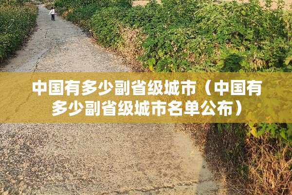 中国有多少副省级城市（中国有多少副省级城市名单公布）