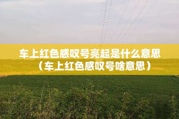 车上红色感叹号亮起是什么意思（车上红色感叹号啥意思）